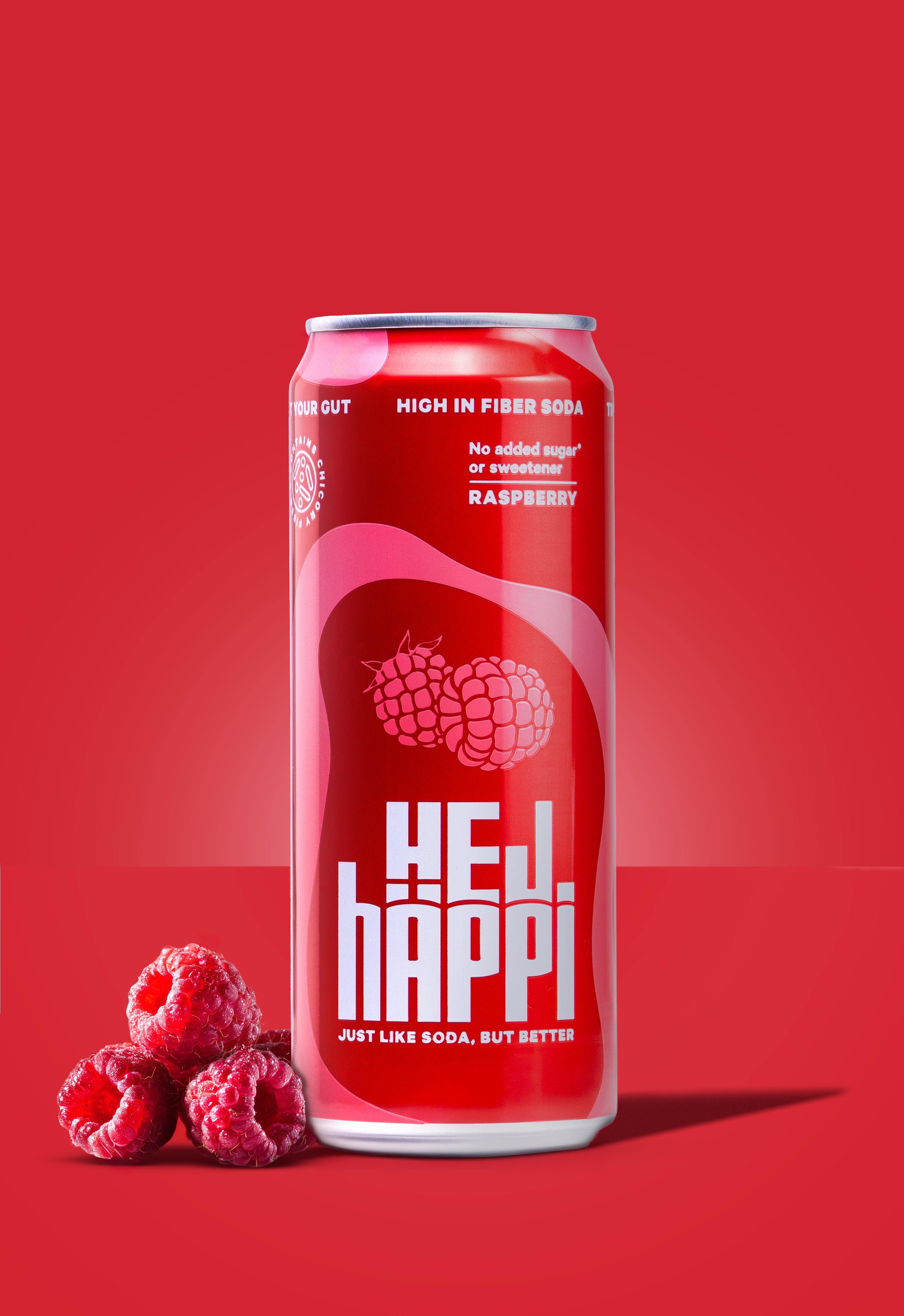 Gemischte 24er-Packung (Himbeere & Holunderblüte/Zitrone)